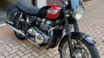 Triumph Bonneville T100 (2001 - 07) usata