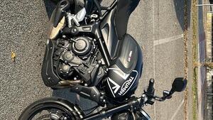 Triumph Trident 660 (2021 - 24) 