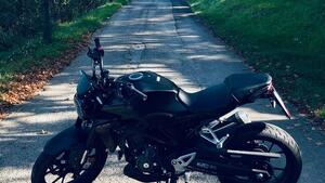 Honda CB 300 R (2022 - 25) 