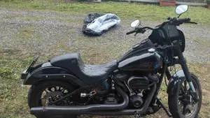 Harley-Davidson 114 Low Rider S (2020) - FXLRS 