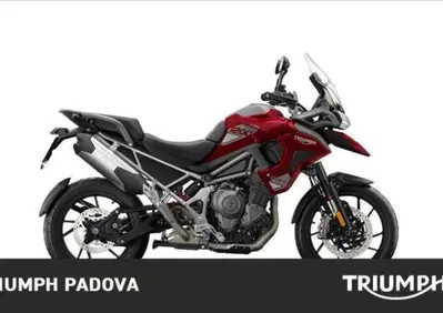Triumph Tiger 1200 GT Pro (2024 - 26) - Annuncio 9877357