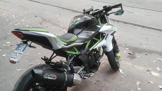 Kawasaki Z 125 (2019 - 20)