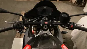 Aprilia Tuono V4 Factory (2019 - 20)  (4)