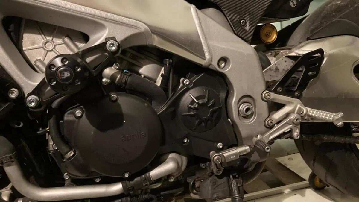 Aprilia Tuono V4 Factory (2019 - 20)  (5)