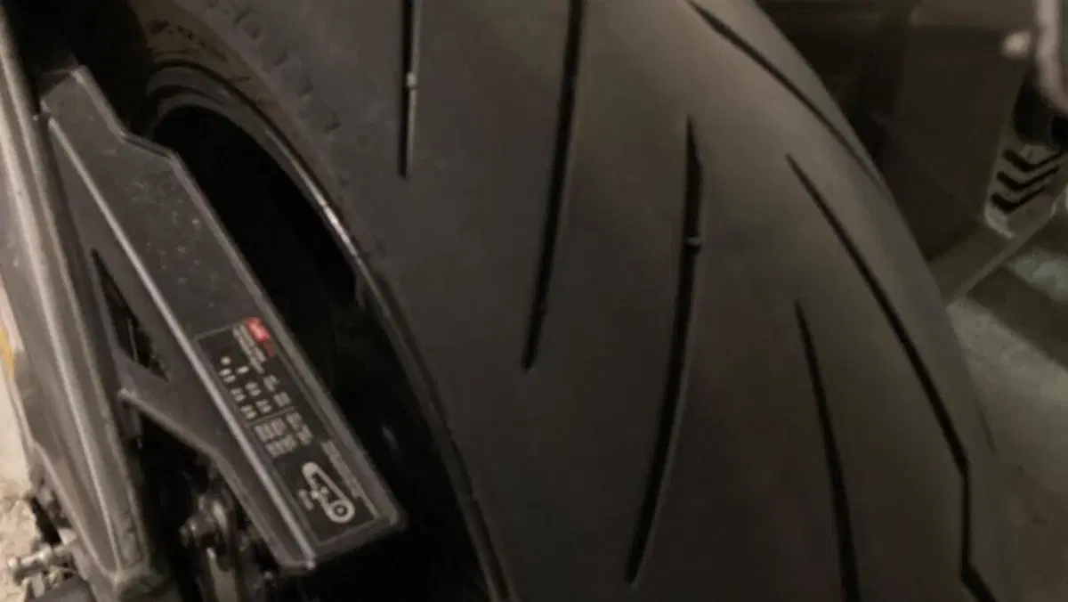 Aprilia Tuono V4 Factory (2019 - 20)  (7)