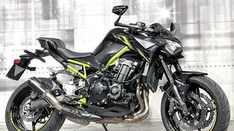 Kawasaki Z 900 (2021 - 24)