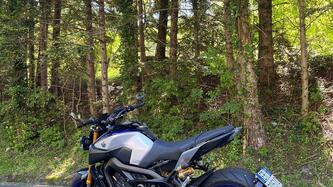 Yamaha MT-09 SP (2018 - 20)