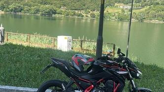 Kawasaki Z 650 (2025 - 26) usata
