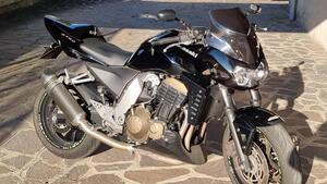 Kawasaki Z 750 (2003 - 06) 