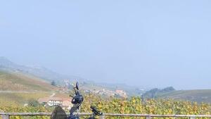 Harley-Davidson Nightster (2023 - 25) 