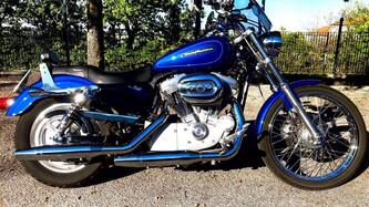 Harley-Davidson 883 Low (2008 - 12) - XL 883L usata