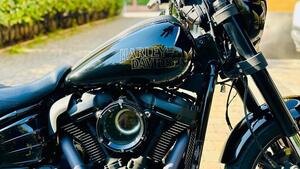 Harley-Davidson Low Rider S (2022 - 24) 