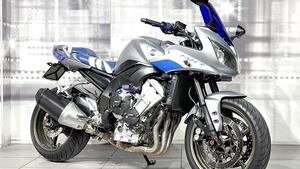 Yamaha FZ1 Fazer (2006 - 16) 
