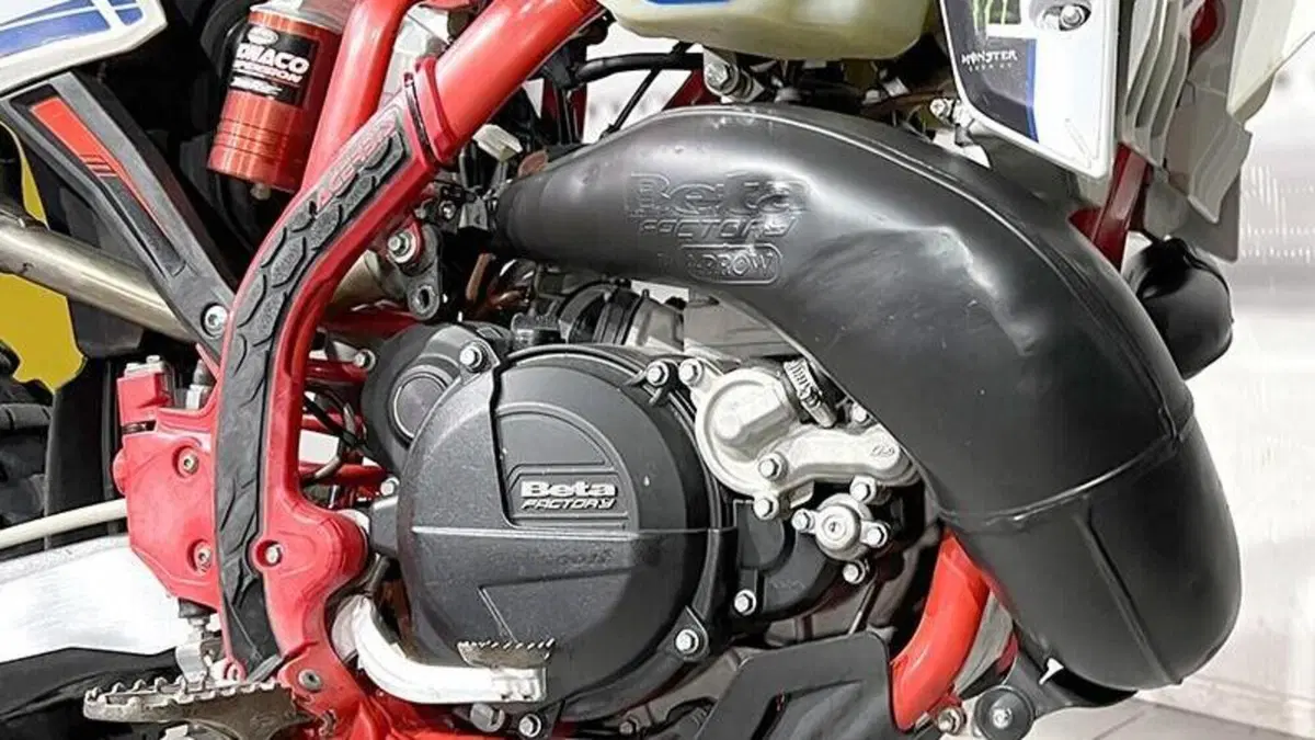 Betamotor RR 300 2T Enduro (2020)  (5)