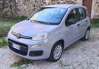 Fiat Panda 1.2 Lounge usata