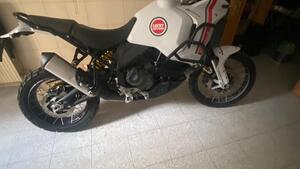 Ducati DesertX (2022 - 25) 