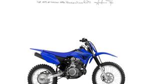 Yamaha TT-R 125 (2024 - 25) 