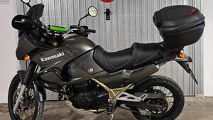 Kawasaki KLE 500 (2005 - 06) 