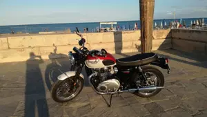 Triumph Bonneville T120 Bud Ekins SE (2020)  (5)