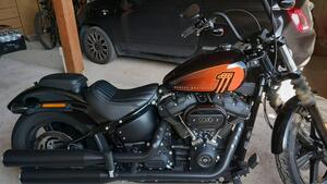 Harley-Davidson Street Bob 114 (2021 - 24) 