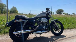 Harley-Davidson 883 Low (2005) - XL 883L 