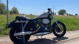 Harley-Davidson 883 Low (2005) - XL 883L usata