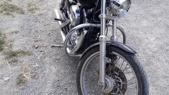 Harley-Davidson 1200 Custom (2007 - 13) - XL 1200C usata