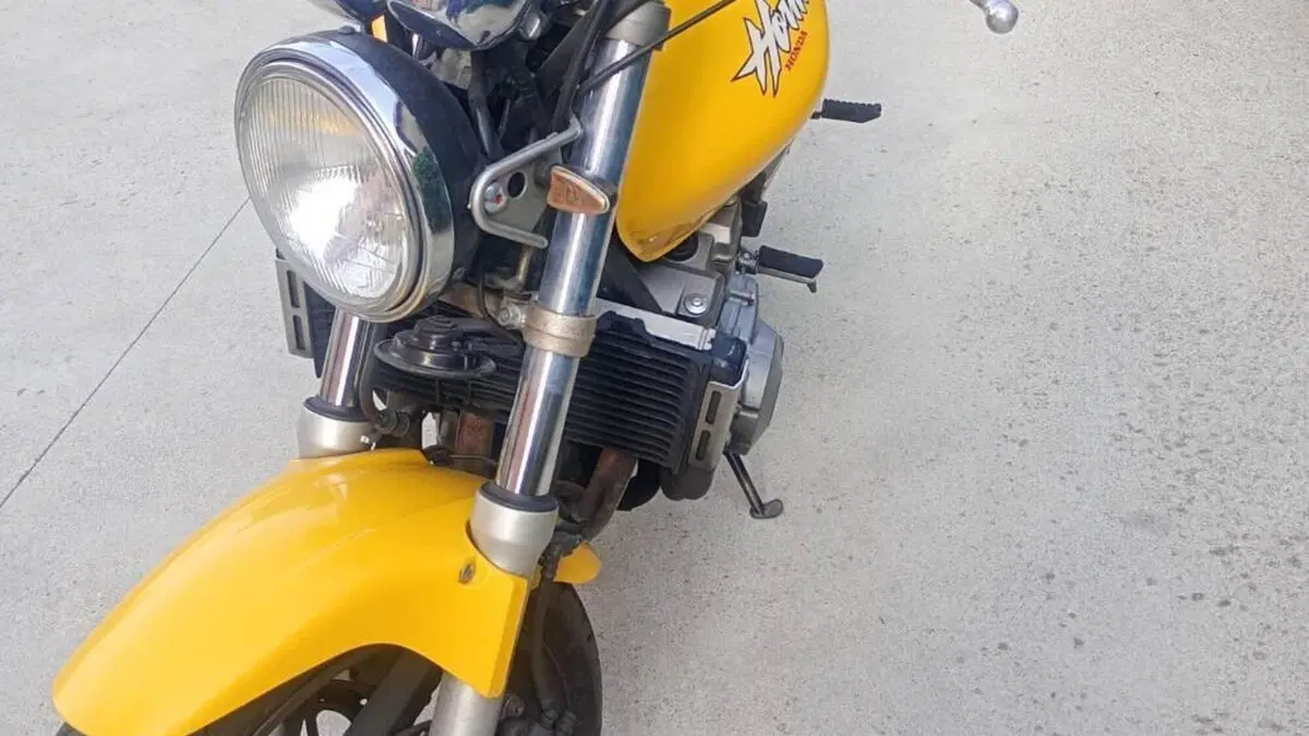 Honda Hornet 600 (2000 - 02) 