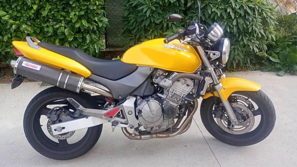 Honda Hornet 600 (2000 - 02)  (2)