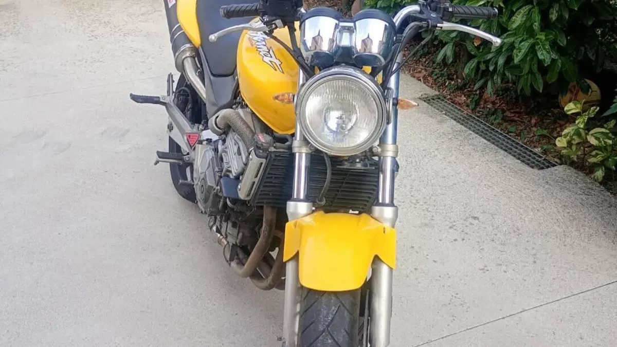 Honda Hornet 600 (2000 - 02)  (3)