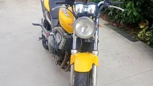 Honda Hornet 600 (2000 - 02)  (3)