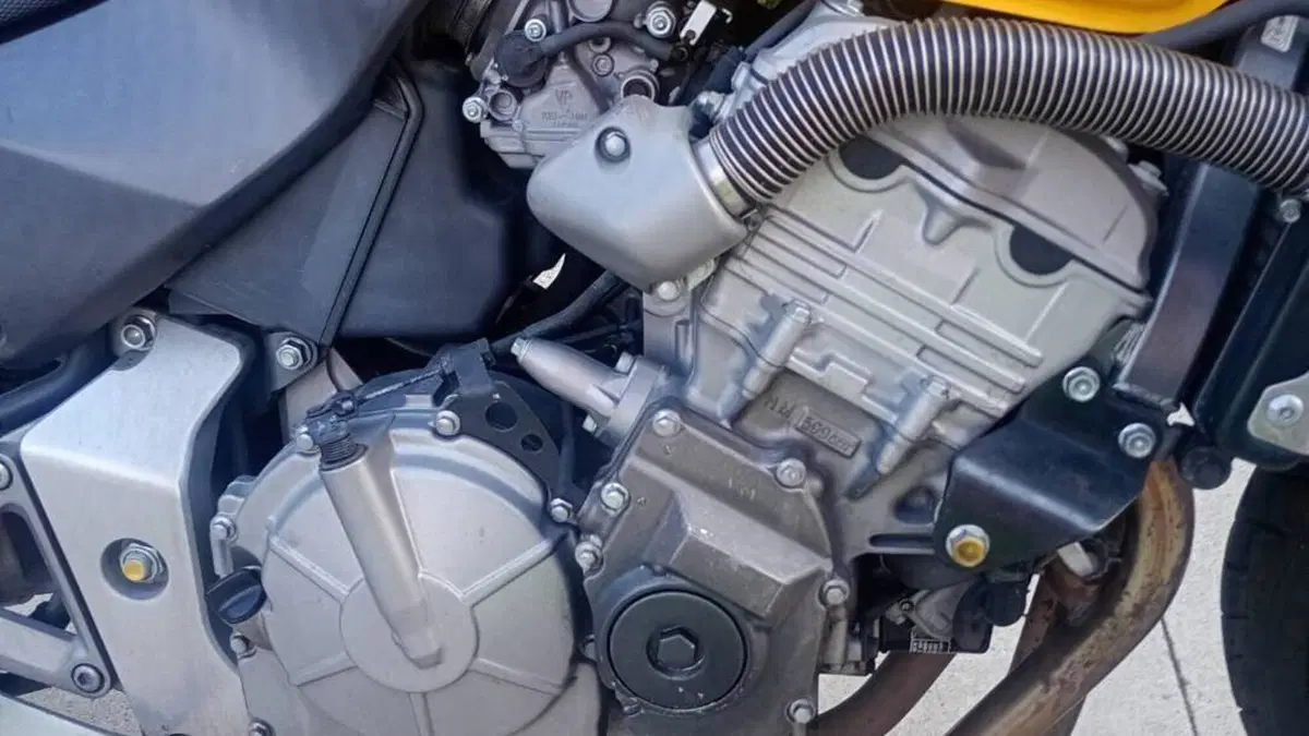 Honda Hornet 600 (2000 - 02)  (4)