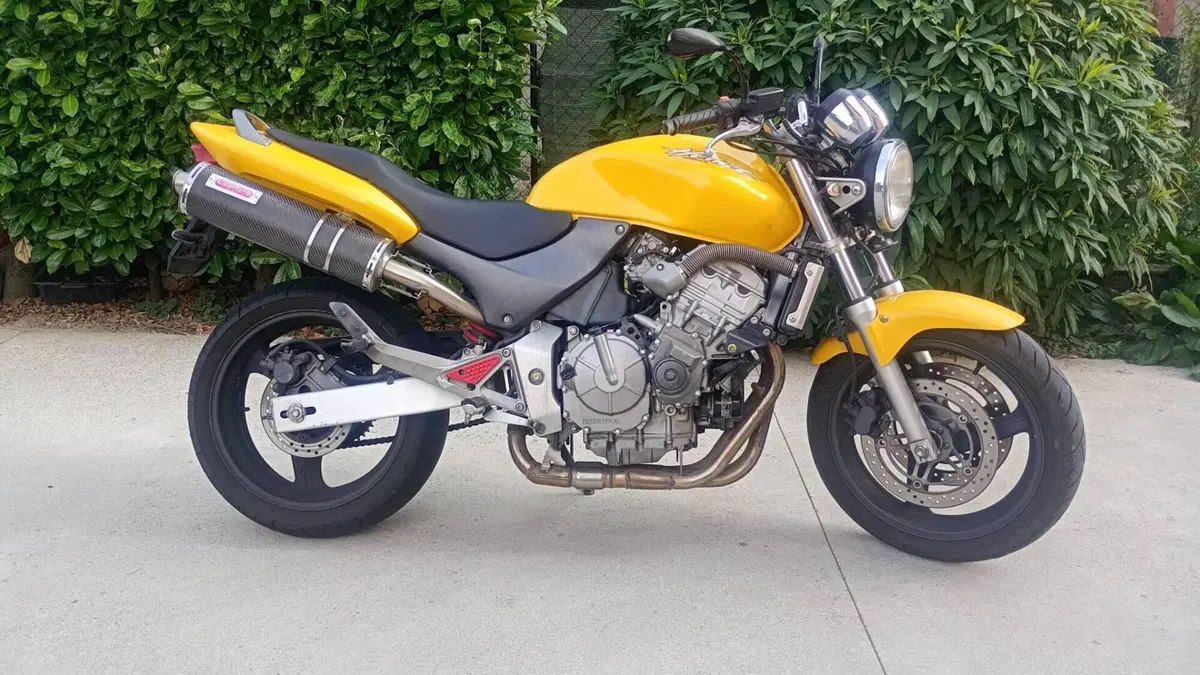Honda Hornet 600 (2000 - 02)  (5)