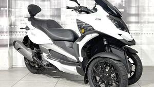 Quadro QV3 350 (2018 - 19) 