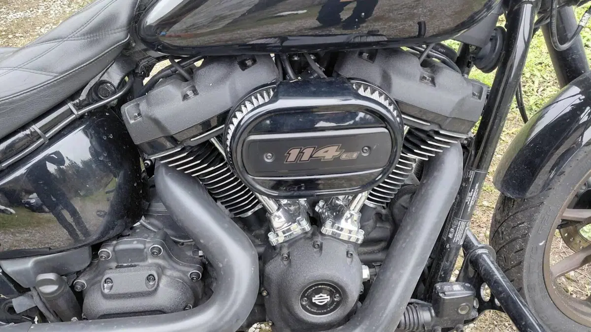 Harley-Davidson 114 Low Rider S (2020) - FXLRS  (5)