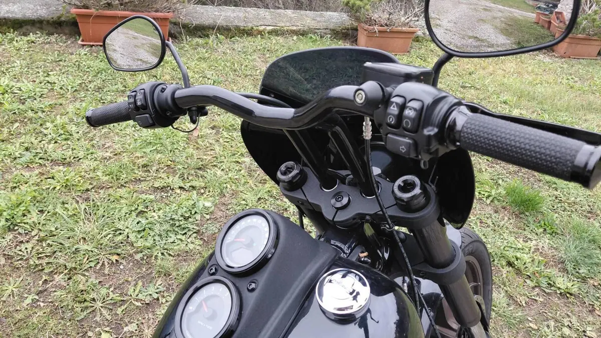 Harley-Davidson 114 Low Rider S (2020) - FXLRS  (7)