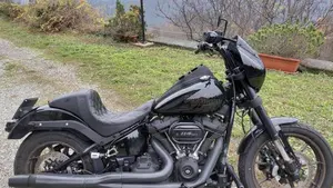 Harley-Davidson 114 Low Rider S (2020) - FXLRS  (9)