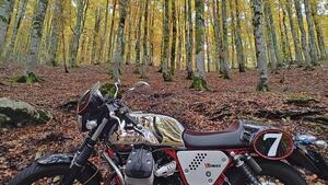 Moto Guzzi V7 Racer (2012 - 14) 