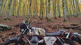 Moto Guzzi V7 Racer (2012 - 14) usata