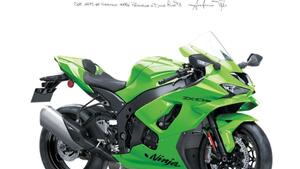 Kawasaki Ninja 1000 ZX-10RR (2025) 