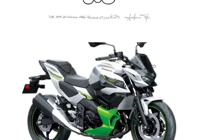 Kawasaki Z7 Hybrid (2024 - 26) - Annuncio 9881208