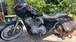 Harley-Davidson 883 Low (2005) - XL 883L 