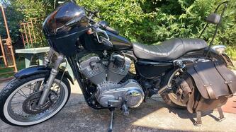 Harley-Davidson 883 Low (2005) - XL 883L usata