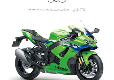 Kawasaki Ninja 1000 ZX-10R (2021 - 25) - Annuncio 9881621