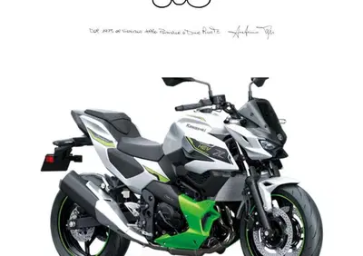 Kawasaki Z7 Hybrid (2024 - 26) - Annuncio 9881622
