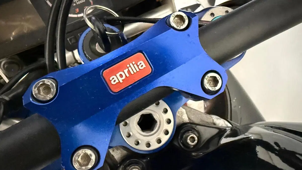 Aprilia Tuono 1000 (2003 - 04)  (10)