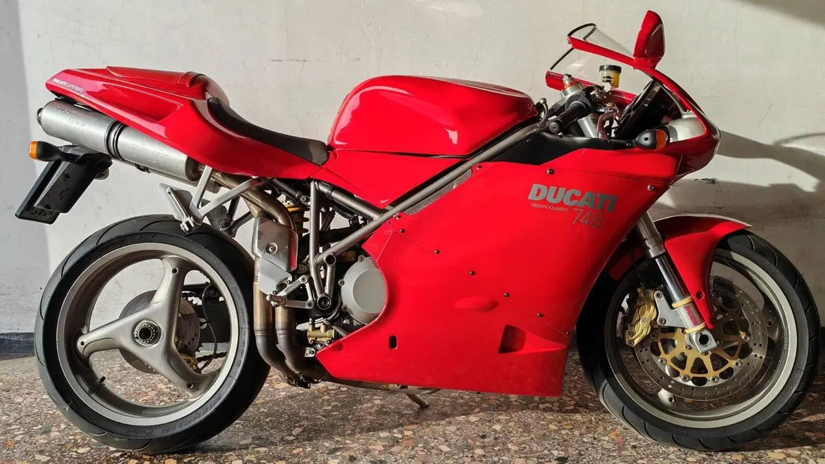 Ducati   (5)