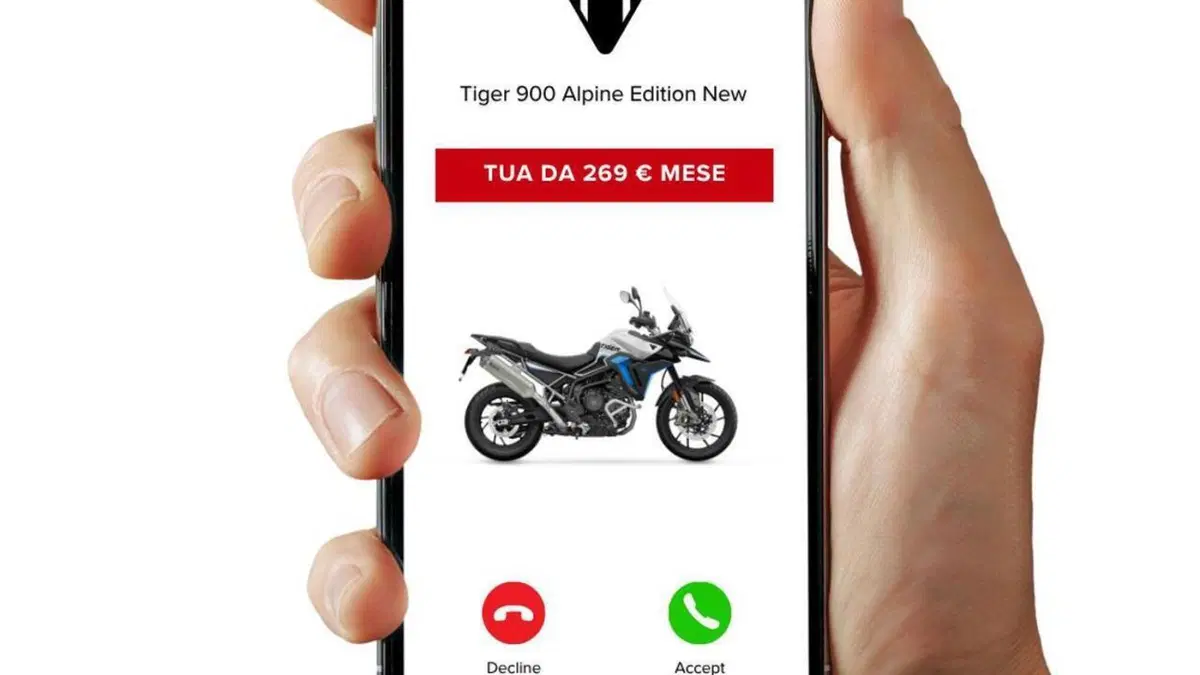 Triumph Tiger 900 Alpine Special Edition (2026)  (3)