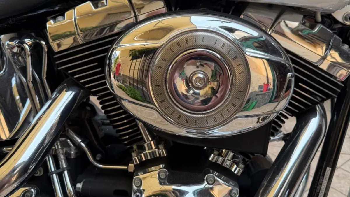 Harley-Davidson 1584 Heritage Classic (2006 - 07) - FLSTC  (3)