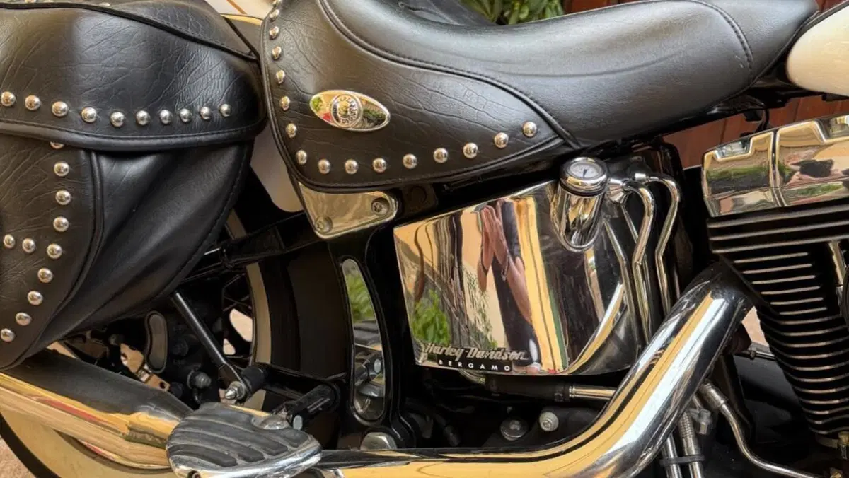 Harley-Davidson 1584 Heritage Classic (2006 - 07) - FLSTC  (5)